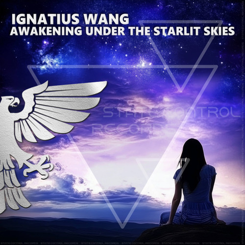 Awakening Under the Starlit Skies (Extended Mix)