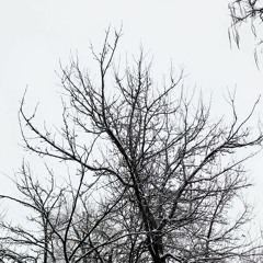 (no cigarettes) on Sunny days