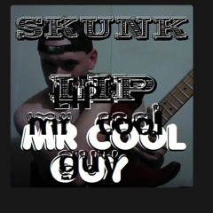 Mr Cool Guy