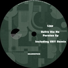 Lipp - Se Voce Na​̃​o Encontrar Razo​̃​es Para Ser Livre, Invente As (VNY Remix) [NALWDEP036]