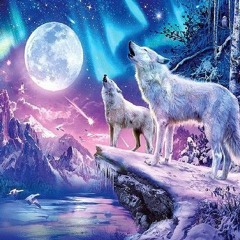 Les loups des montagnes