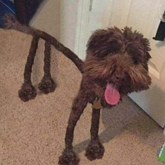 i'm ok imzalı şarkım var