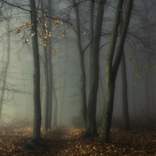 Air: dream background music FREE DOWNLOAD