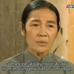 NST - CON NGUA TRANG HBB