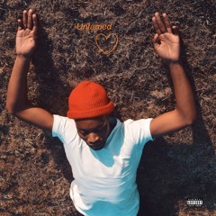 Untamed Heart (Prod. MLB)