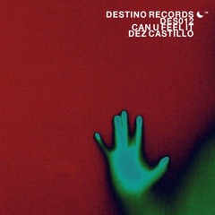 CAN U FEEL IT (Original Mix) - DES012