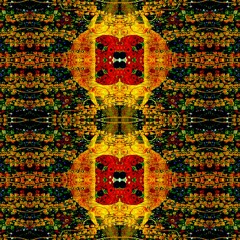 Arraignedas Tormentsus