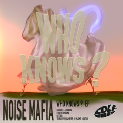 Premiere: NOISE MAFIA - COACHELLA SUNRISE [CDLF012]