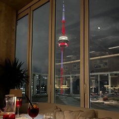 Toronto Views