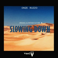 Vintage Culture - Slowing Down (ONZE & Ruzzo remix)