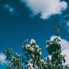 Southern Florida