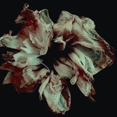 TheTHOI ft. ducthanhf