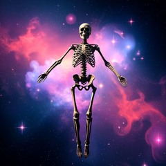 we are: flesh covered skeletons made of star dust