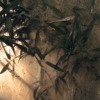 Berkan V8 - Wildeburg 2024 DJ mix artwork - Electronic music tracklist cover image