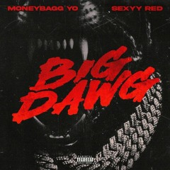 Moneybagg Yo & Sexyy Red & CMG The Label — Big Dawg