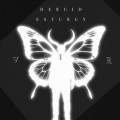 VISITOR