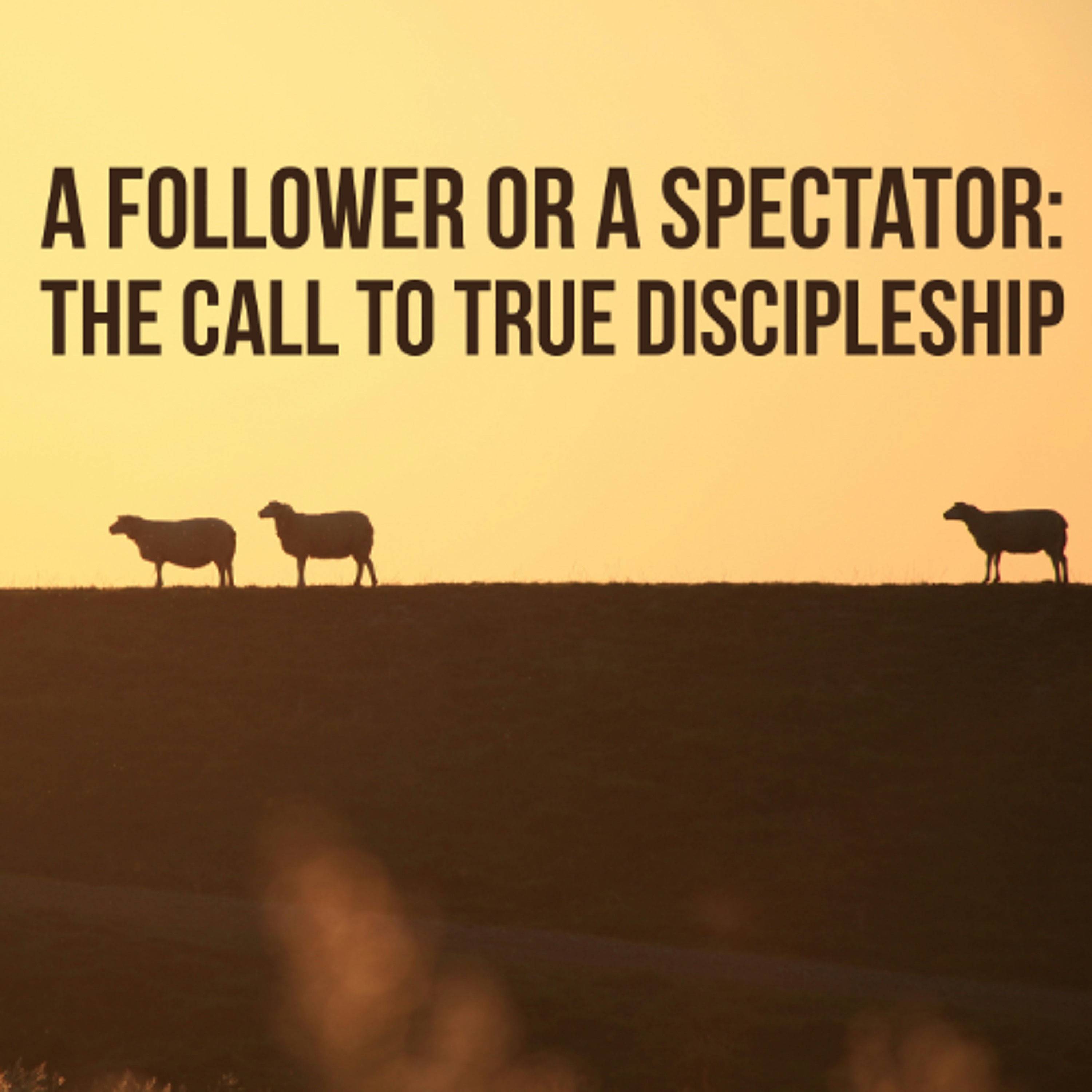 A Follower or a Spectator: The Call to True Discipleship episode artwork