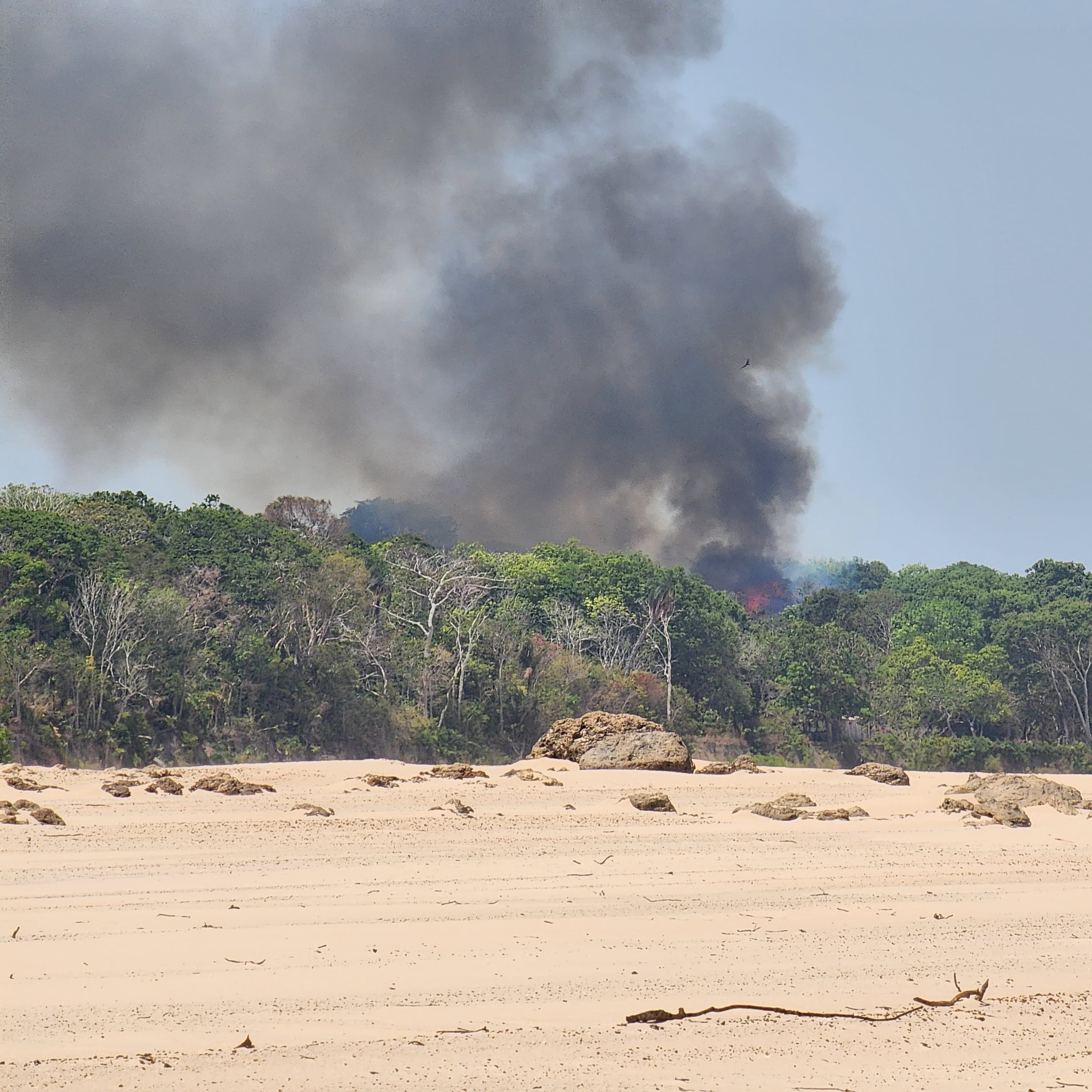Alô 29/08: decretos proibem uso de fogo no estado do Pará
