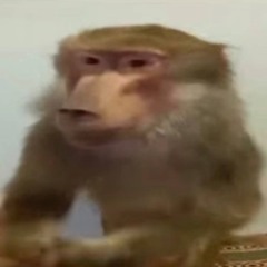 Танцуй (intro)