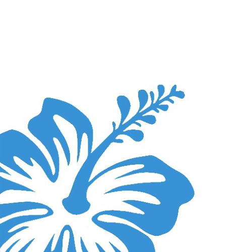 BRILL [USA003] | DID Radio