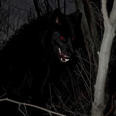 INDUSTRIAL ØVERDØSE