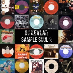 Sample Soul Vol. 2 (Classic Rap Samples Remixed)