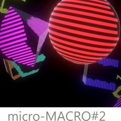 micro-MACRO#2