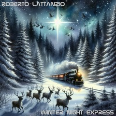 Winter Night Express