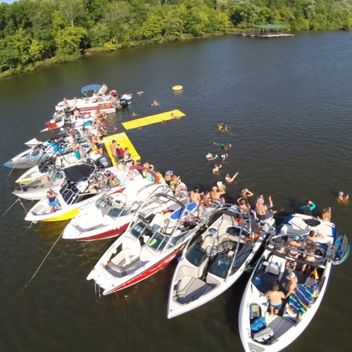 Cove Bash