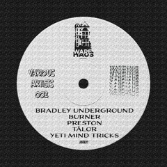 RYS Premiere: Bradley Underground - Detroit 1995 [WHR011]