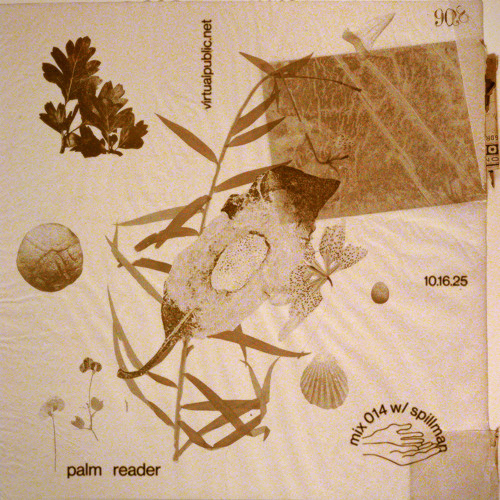 Palm Reader 14: Spillman