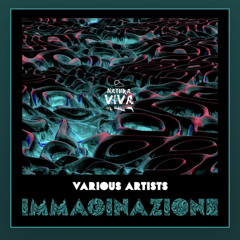 ANA [Natura VIVA] exclusive beatport