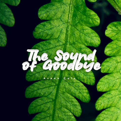 The Sound of Goodbye