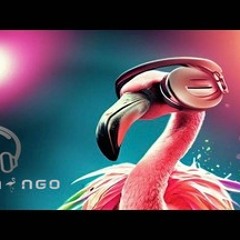 dj-flamingo يوج وج رعد الناصري