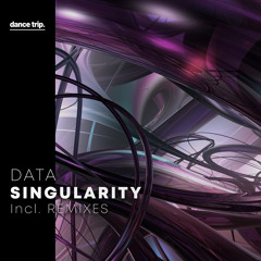 Singularity (Synth DJ Tool Mix)