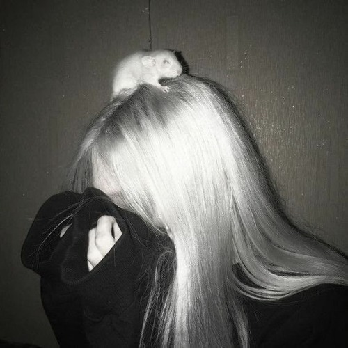 tefflon - youlose [ilovehitech+thep4x]