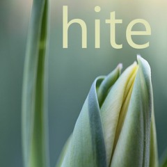 Hite