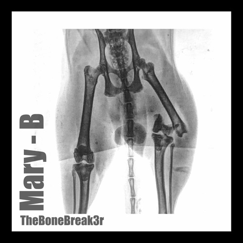 The Bone Break3r (FreeDownload)