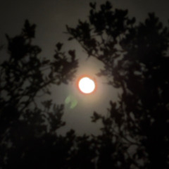 étoile (w/ jupy_teh)