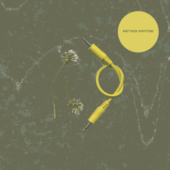 Matthew Pepitone - Squid Never Sleeps