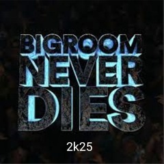 Bigroom Never Dies 2k25
