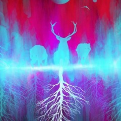 psychedelic medicine journey