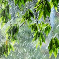 พื้นหลังเสียง sad background music FREE DOWNLOAD