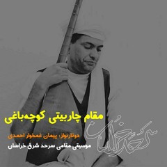 موسیقی شرق خراسان، مقام چاربیتی کوچه‌باغی، دوتار استاد پیمان غمخوار احمدی