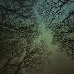 Thirteen Winters and a Spring