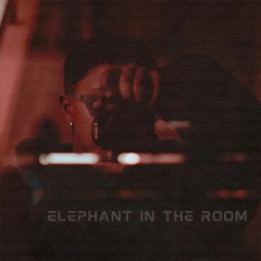 Elephant In The Room