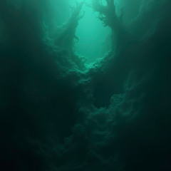 LIQUIDICITY