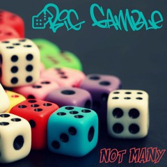 Scribe - Not Many (Big Gamble Remix) FREE DL