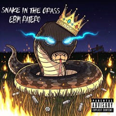 Snake in the Grass
