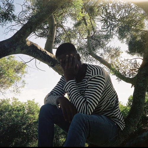 SITTING IN TREE